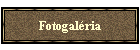 Fotogalria